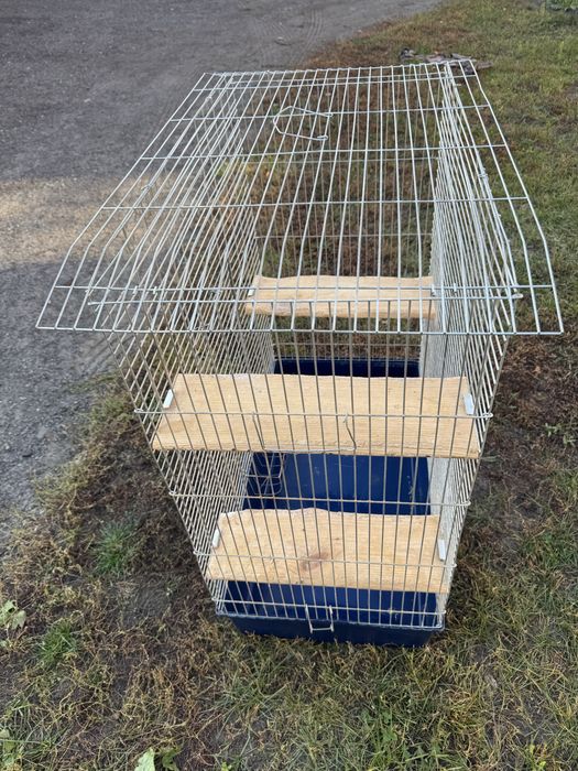 Клітка для шиншили