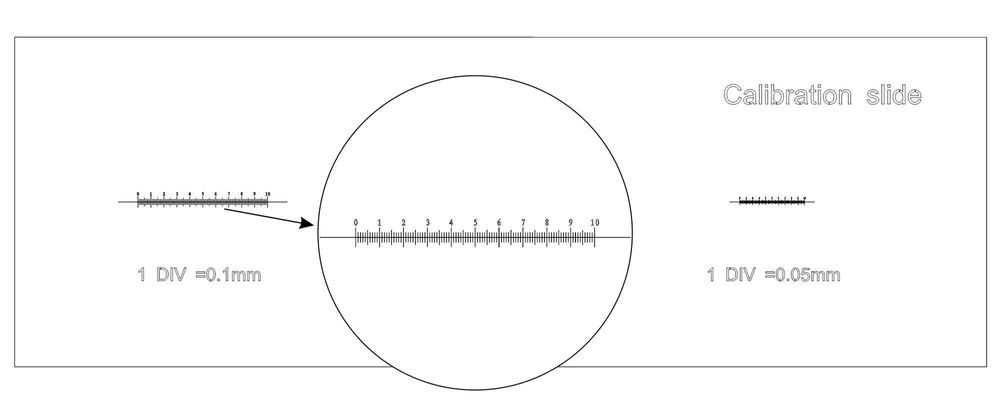 Preparat kalibracyjny MAGUS CS3 (0,01/0,05/0,1)