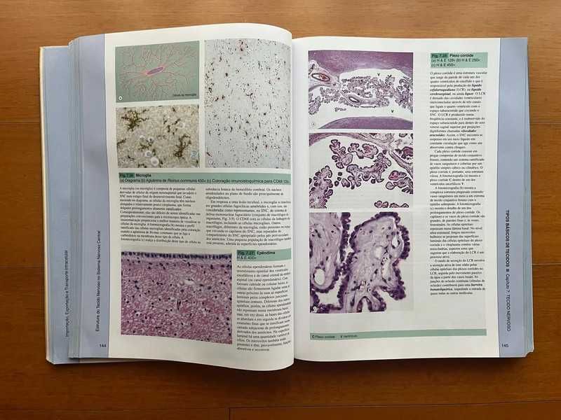 Histologia Funcional - Texto e Atlas em Cores