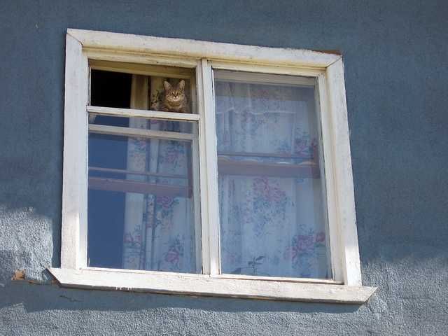 Стекло в деревянные окна.Замер.Установка.