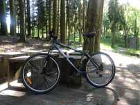 Bicicleta Berg trail 2.0