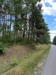 SPRZEDAM LAS - działka 4 hektarowa