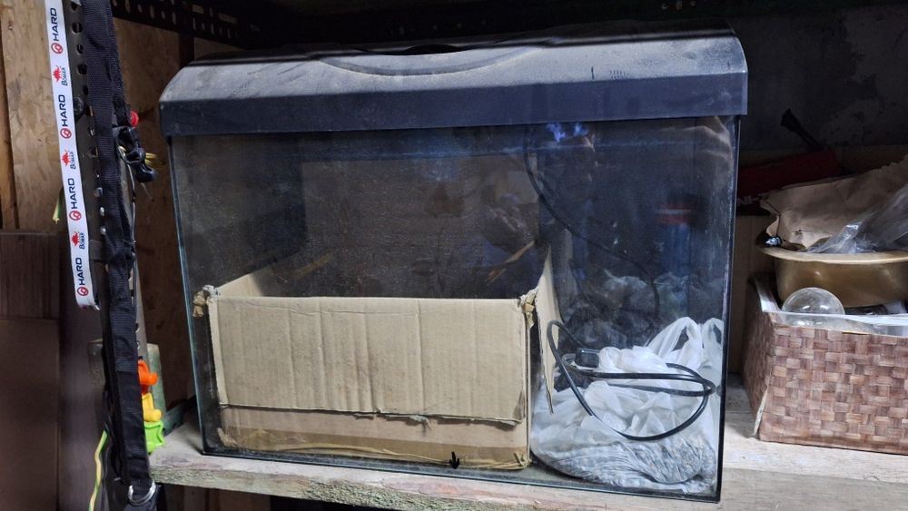 Akwarium 50x25x40cm dla gada lub chomika