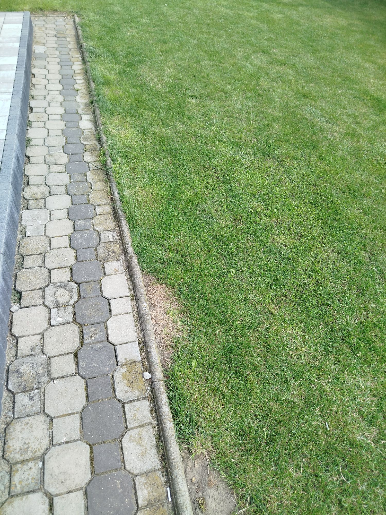 Kostka brukowa płytki chodnikowe