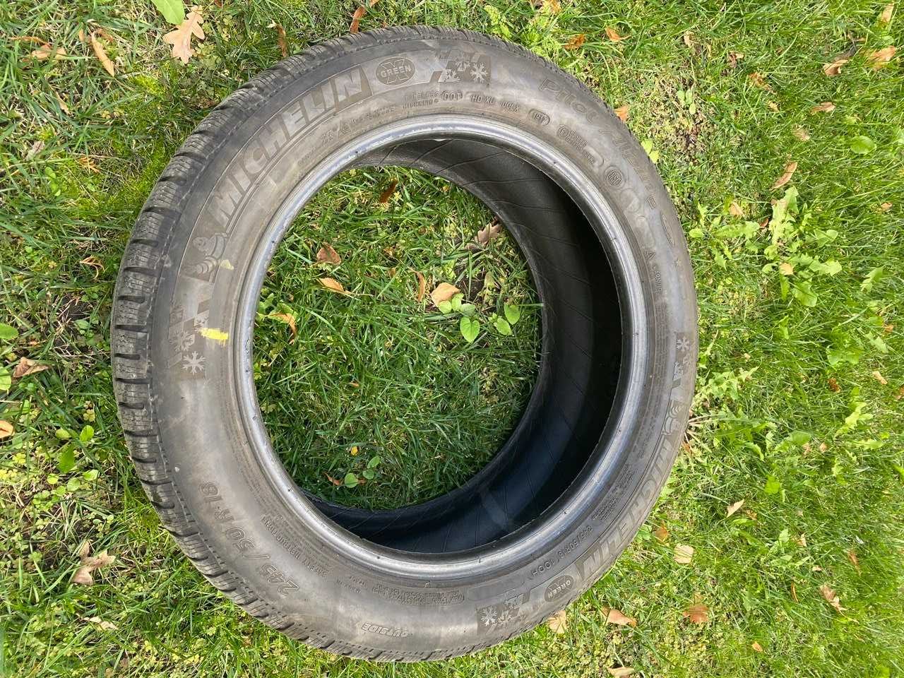 Шини Michelin Green X Pilot Alpin 245/50/R18