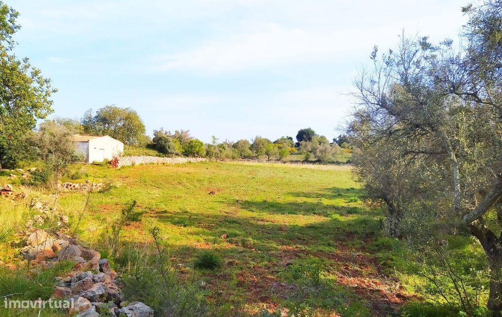 Quinta C/ 6000M2 S. Bartolomeu de Messines
