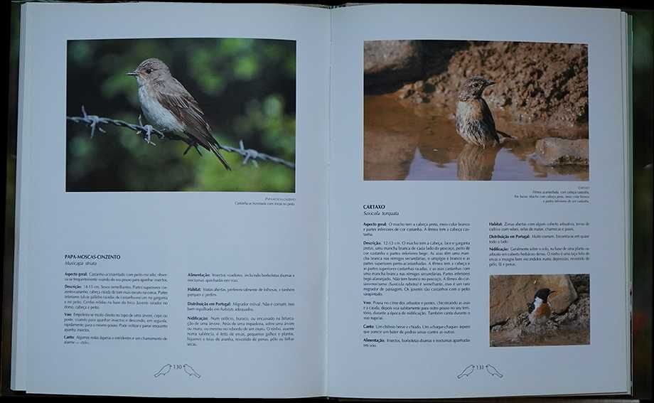 À descoberta das aves de portugal