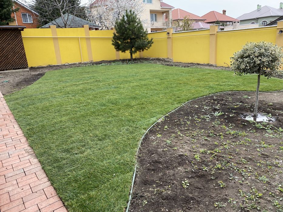 Рулонный газон , автоматический полив , аэрация, покос.