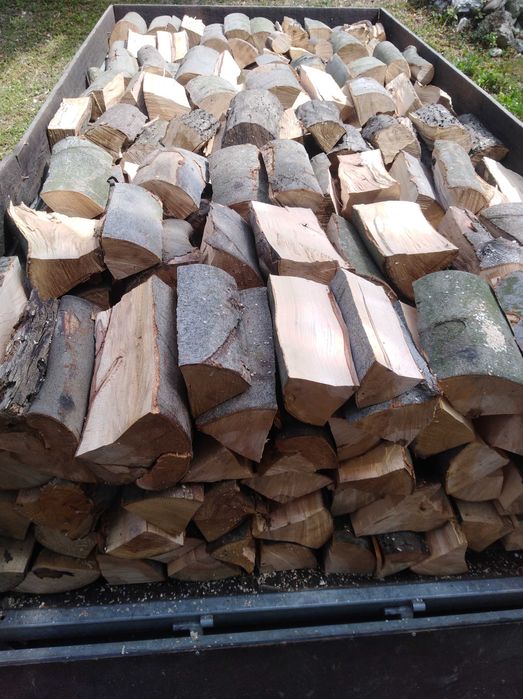 ДРОВА СУХІ в сітках