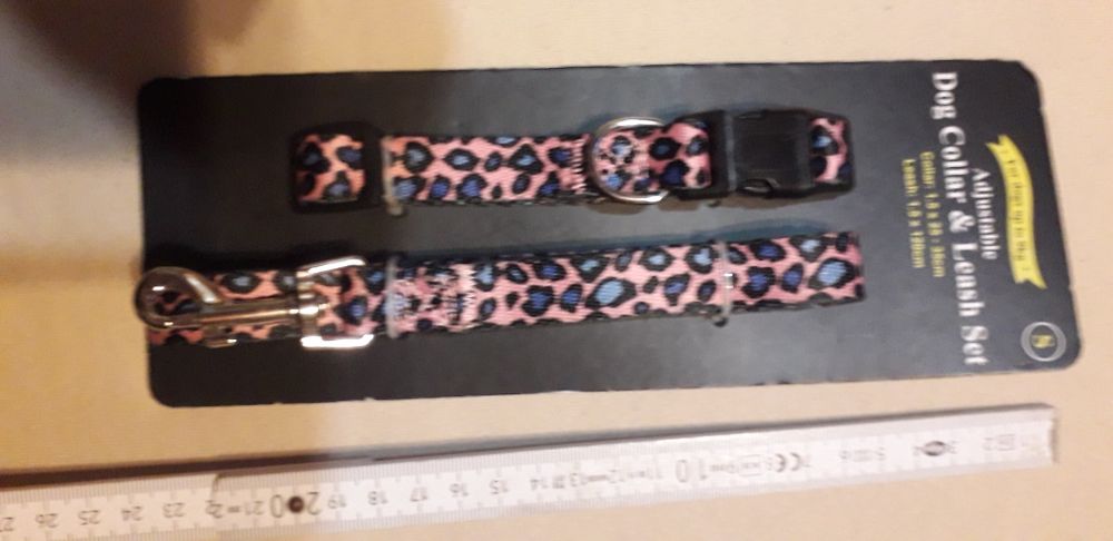 Smycz i obroża panterka S