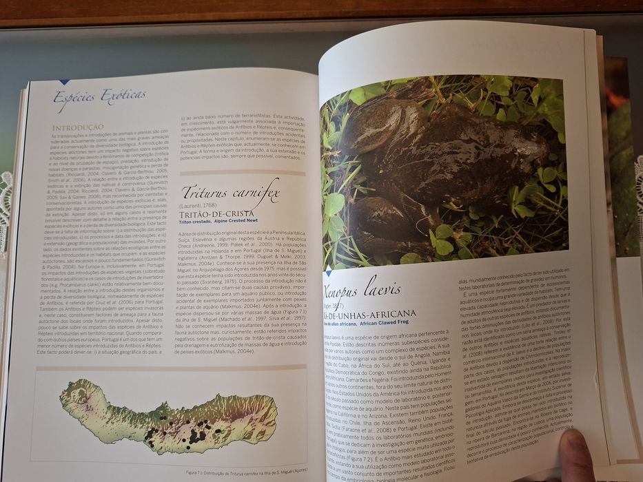 Livro: ATLAS Dos ANFÍBIOS e RÉPTEIS de Portugal