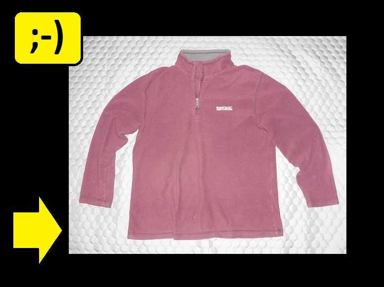 Bluza polarowa męska fioletowa burgundowa bordowa Regatta Outdoor M L