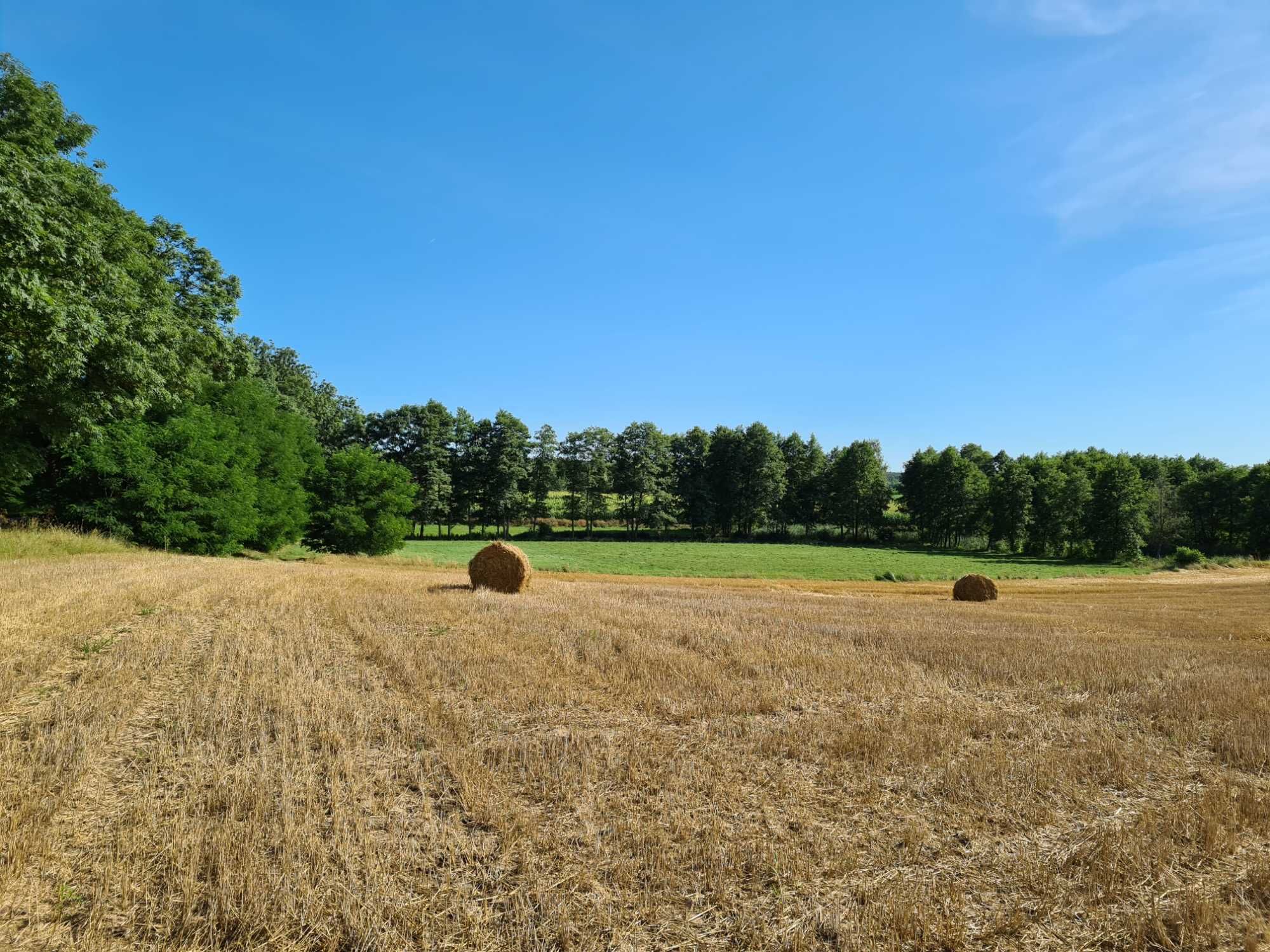 Działka 1000m2 Orchowo Słowikowo Skorzęcin Park Krajobrazowy