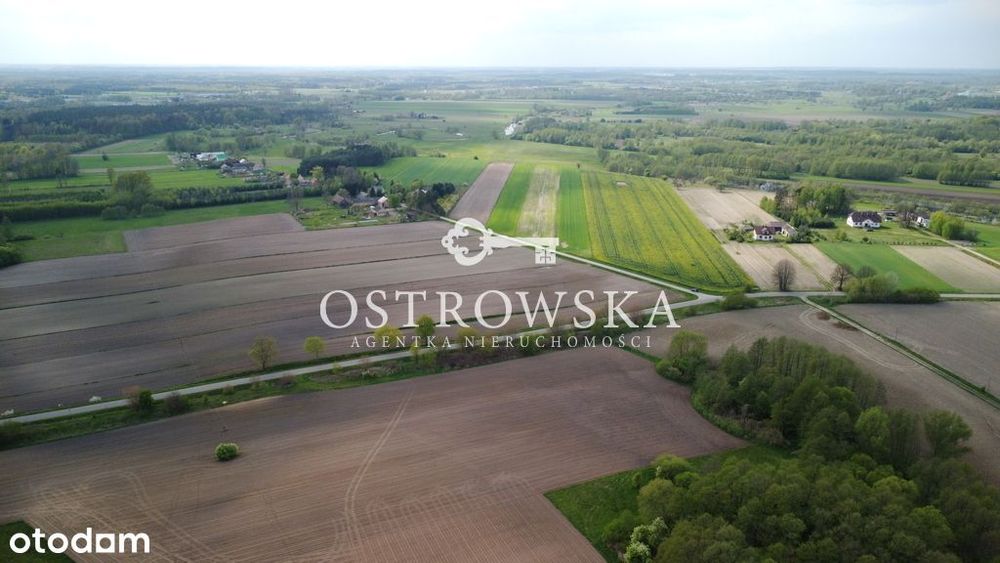 Działki rolne oraz działka leśna na sprzedaż