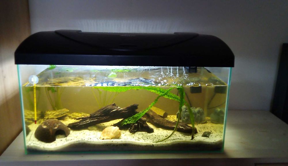 Akwarium aquel pokrywa LED + dodatki