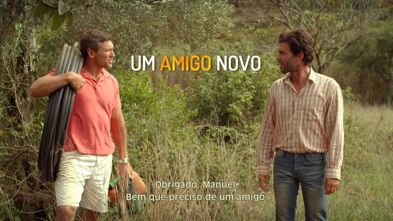 O SONHO CERTO Uma História do Algarve (Lúcia Moniz/Miguel Damião) NOVO