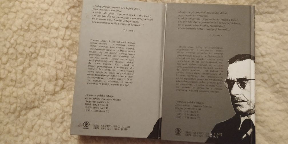 Tomasz Mann Dzienniki 2 tomy twarda jak nowe