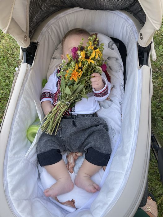 Коляска 2/1 I bebe I Stop