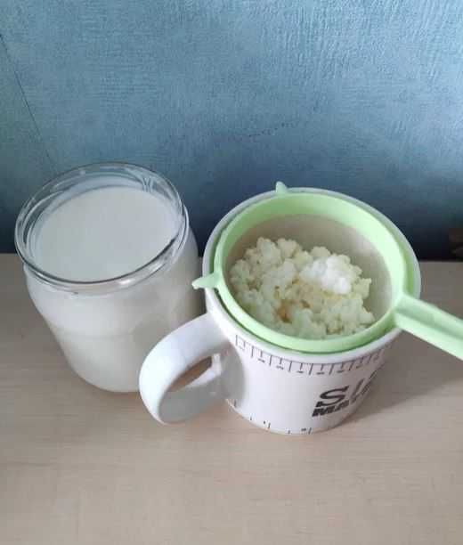 Grzybek tybetański na prebiotyczny kefir | Usuwa metale ciężkie | B12