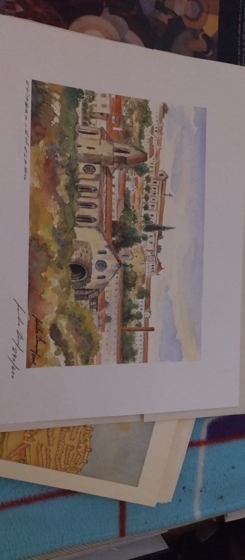 Pinturas de coimbra