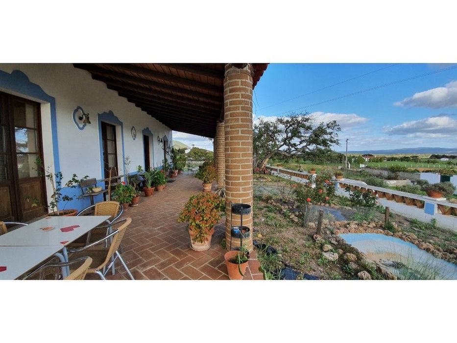 Quinta T5 com 11.250 m2 na zona de Serpa