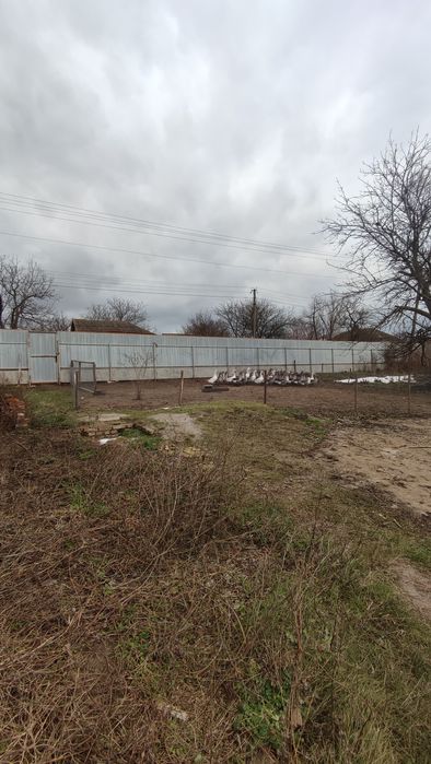 Продаємо будинок(19км від міста). Город до ставку