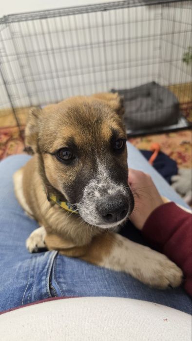 БЕЗКОШТОВНО у відповідальні руки