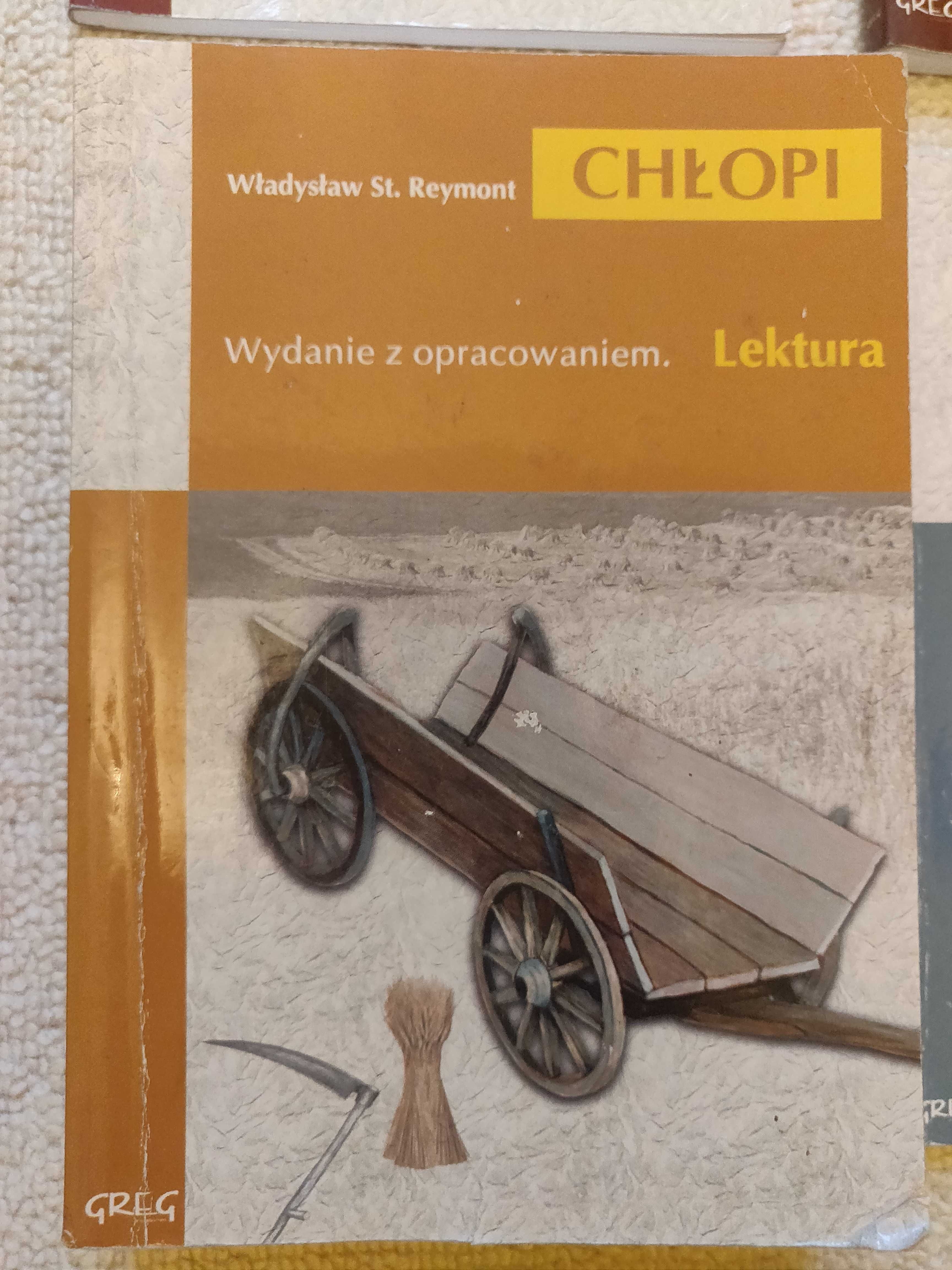 Lektury szkolne poszukują czytelnika :) (14 pozycji)