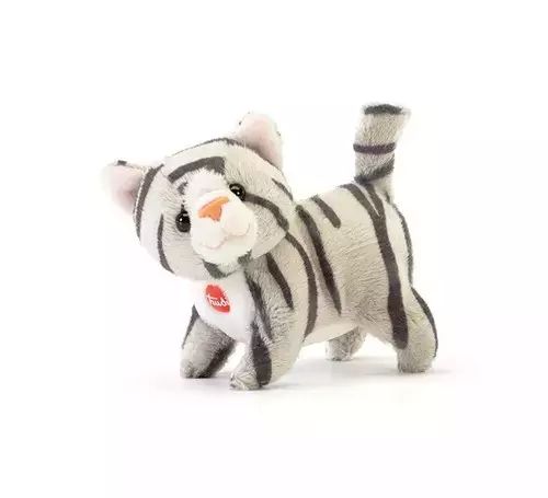 Sweet Collection Kot Brad