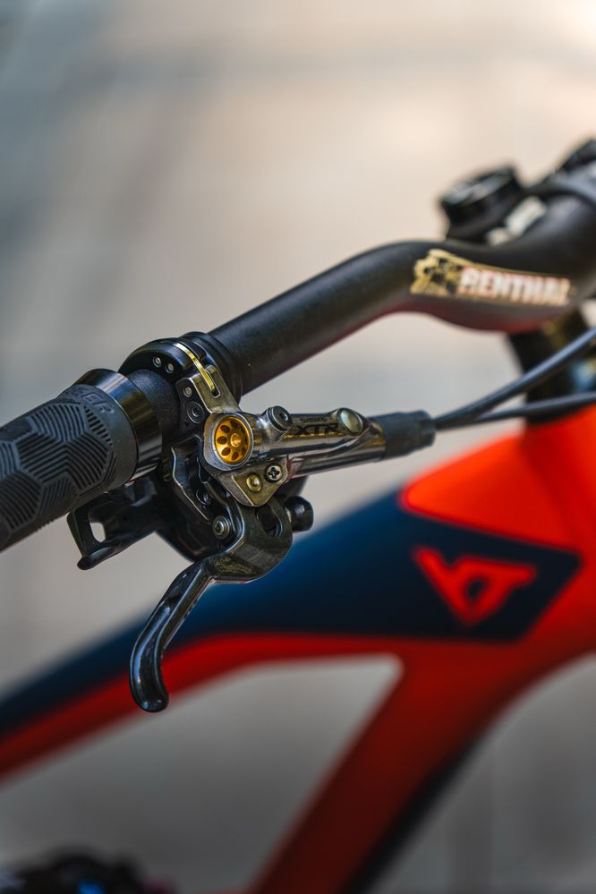 YT CAPRA 29 XL 2019