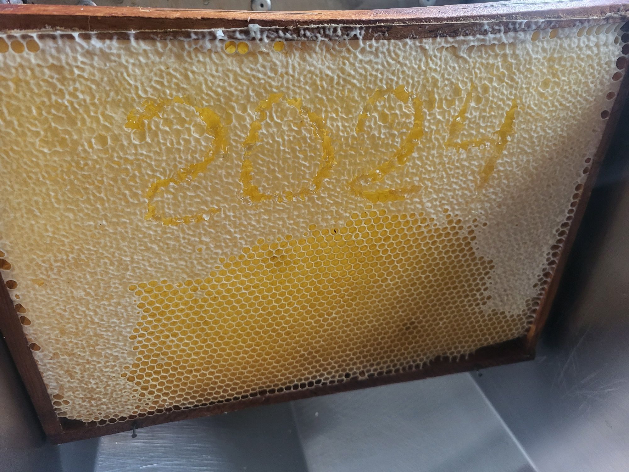 Miód lipowy z własnej pasieki 2024 rok
