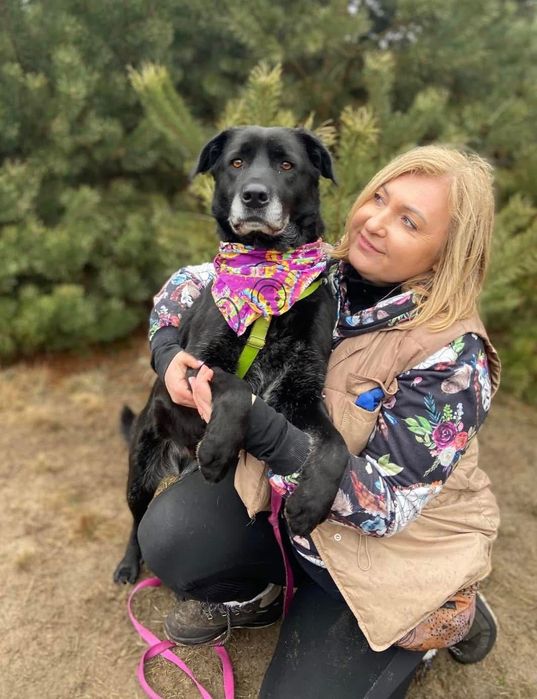 Aura szuka dom-sunia idealna.