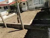 Limpeza de terrenos e jardim