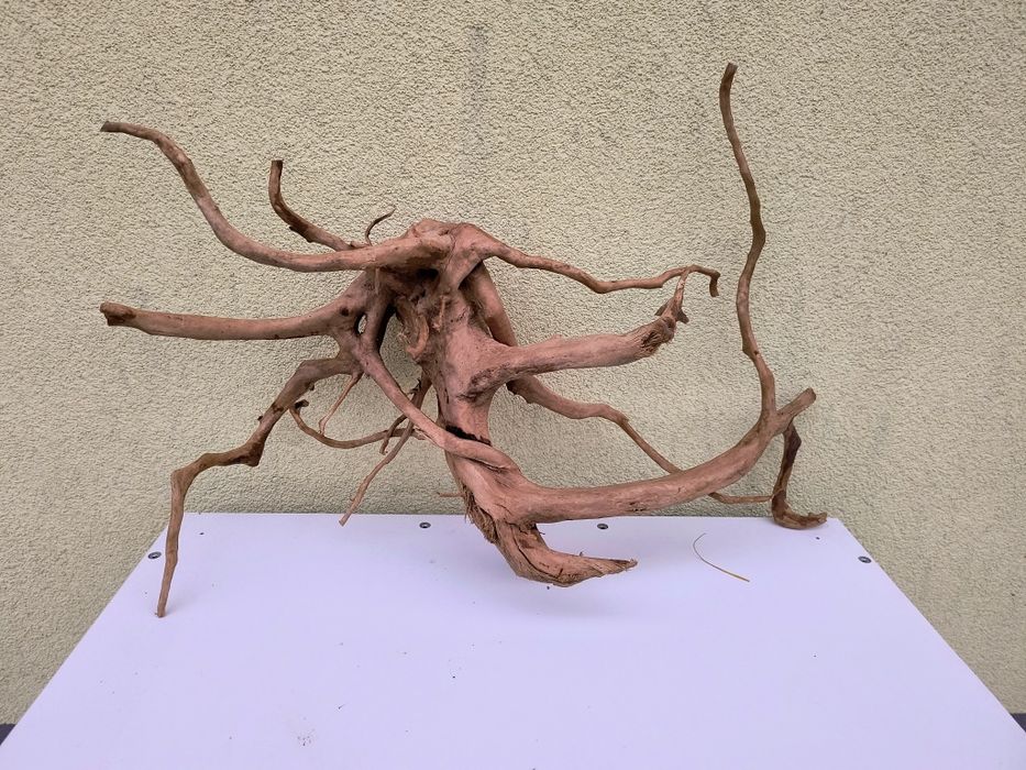 Korzeń Red mur 60*40*20