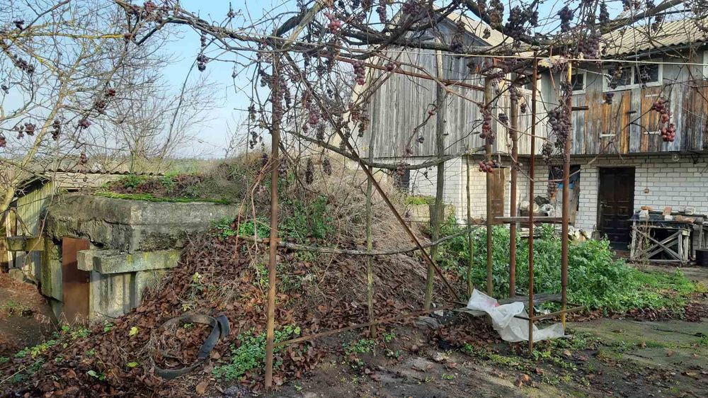 Продається будинок в с.Туровець Житомирської обл.