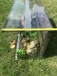 Duze terrarium z akcesoriami