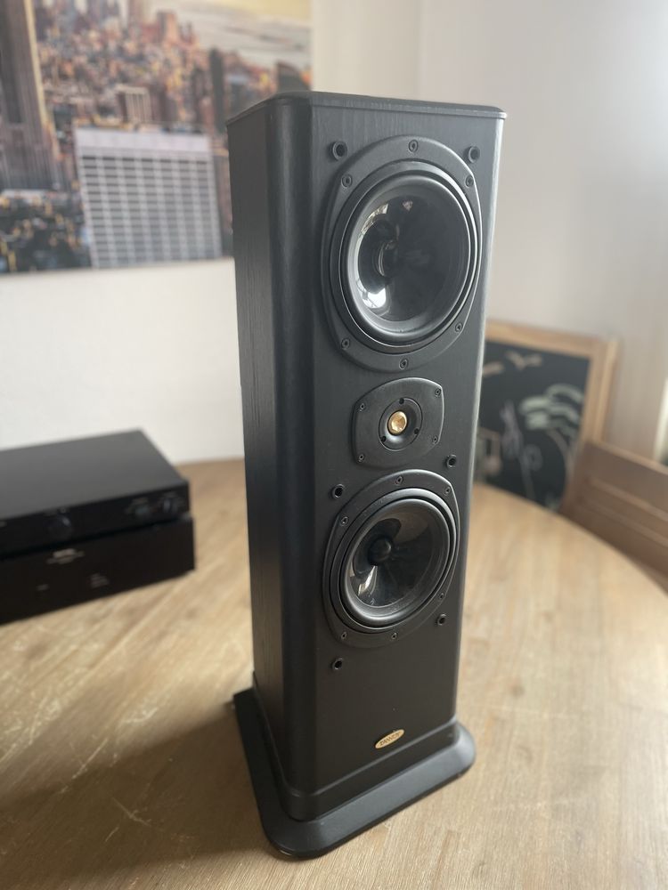 Kolumny Tannoy D30 633