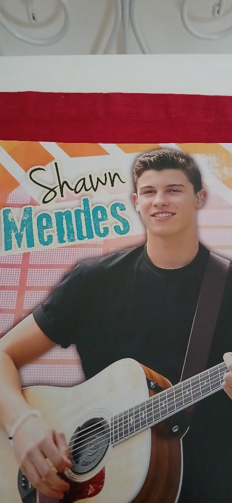 Poster Shawn Mendes, novo