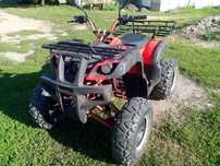 quad 250 manual 4 + 1
