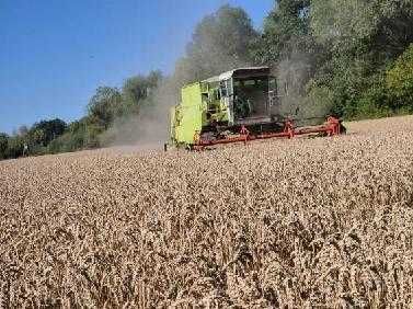 Kombajn zbożowy Claas Dominator 100