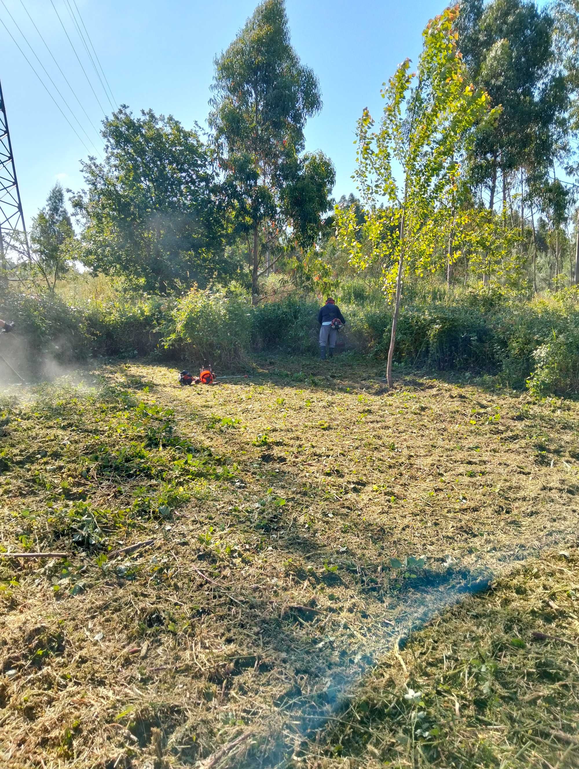 Jardins e limpeza de terrenos