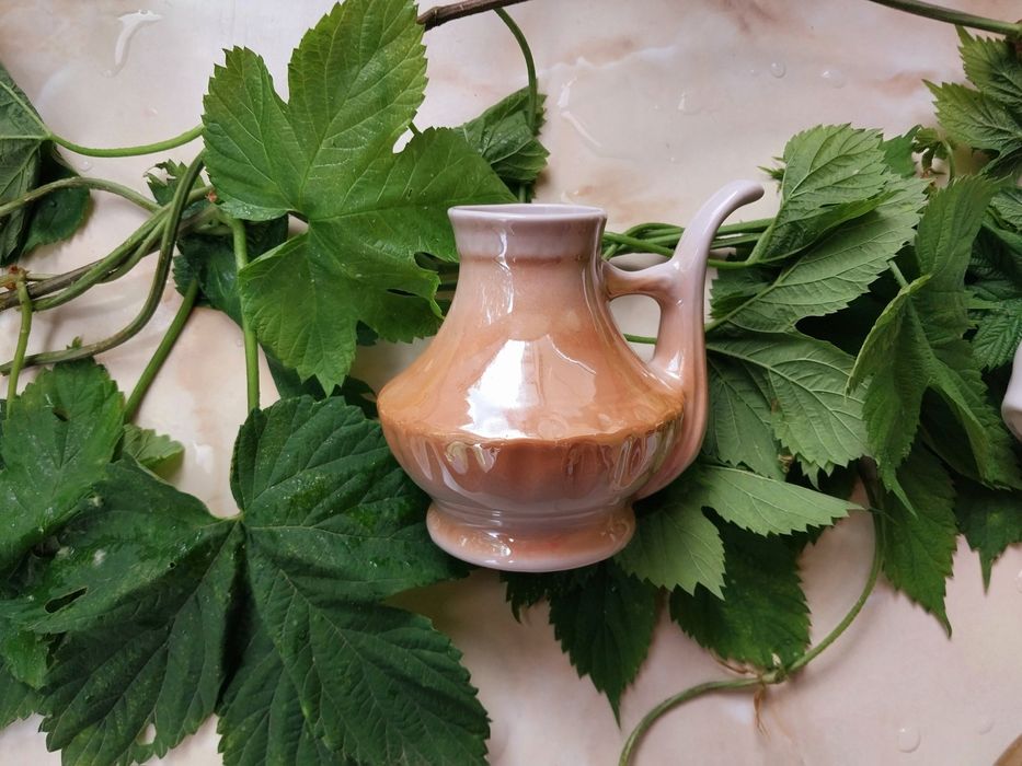 Набор питейников поилочки из курортных зон с минеральными водами глина