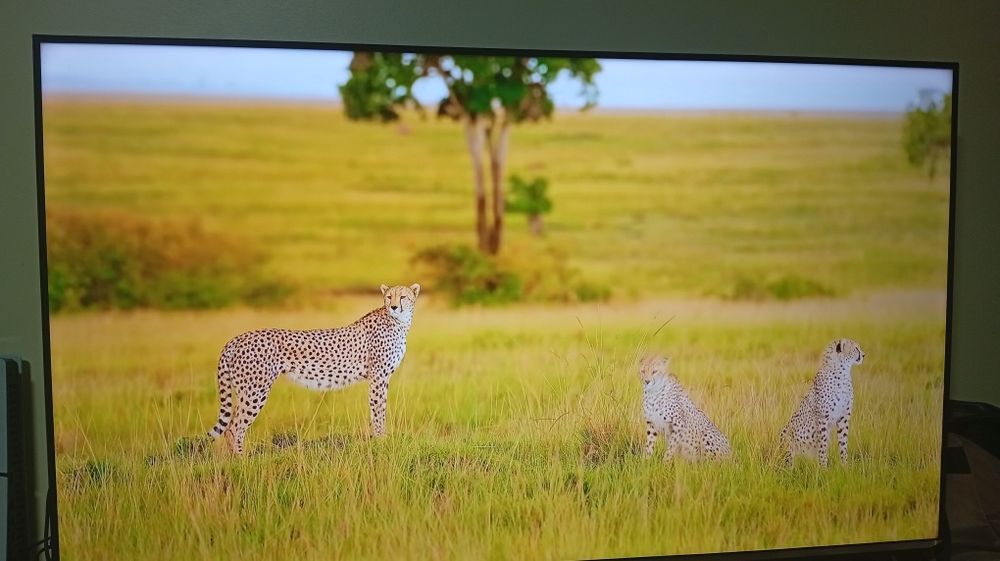 Televisão Hisense 4K HDR 55 polegadas