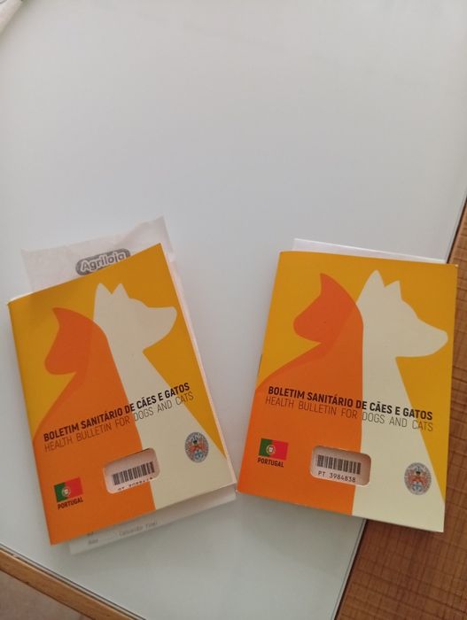 Coelhinhas Angorá e cabeça de Lião com a casinha