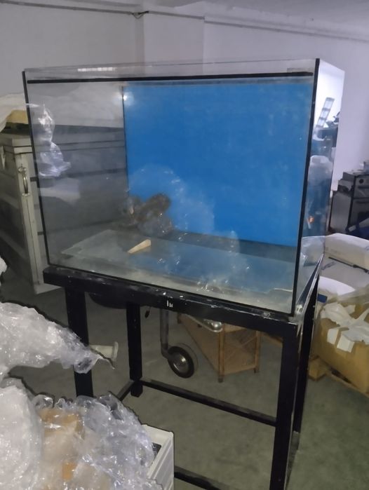 Aquário com Mesa de Alumínio – Excelente Estado – Pronto a Usar!