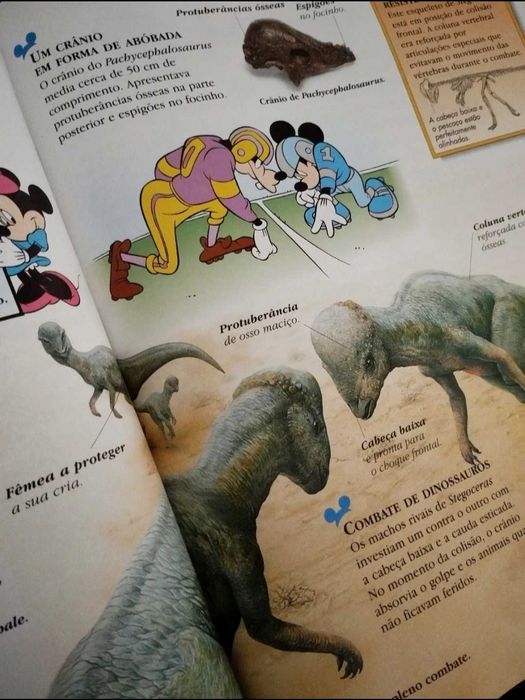 Livro "O Maravilhoso Mundo do Conhecimento - Os Dinossauros" 2002