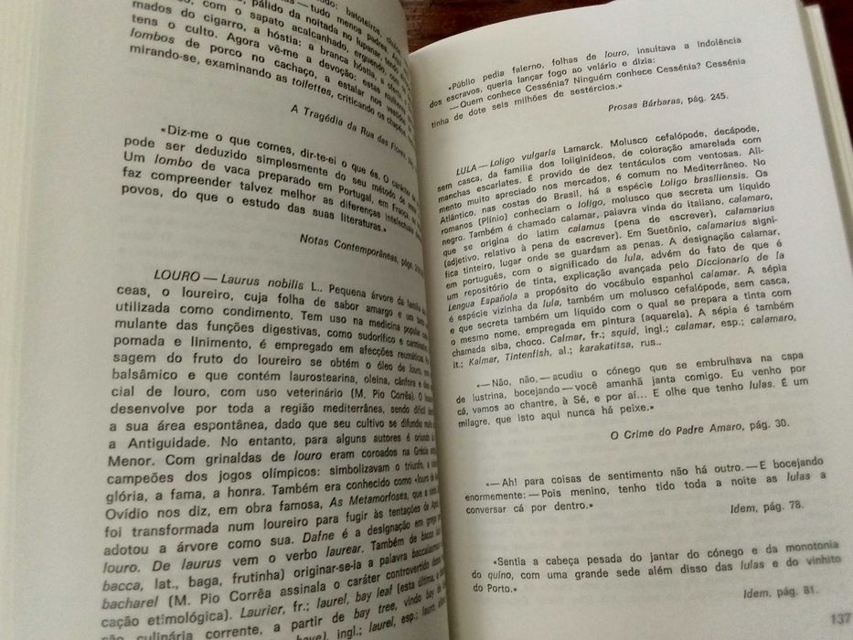 Dário Moreira de Castro Alves - Era Tormes e amanhecia (2 vols.)