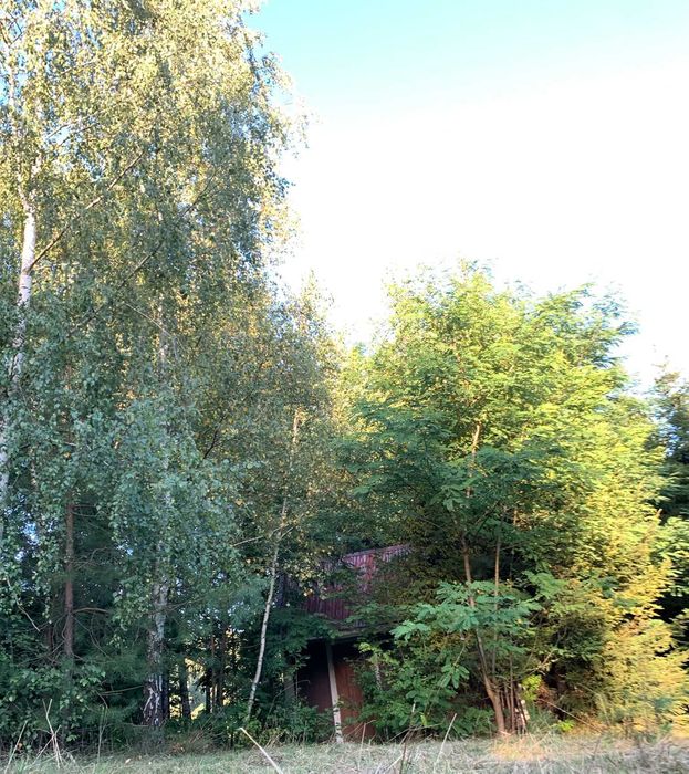 Działka budowlana 1208m nad jeziorem Piekiełko