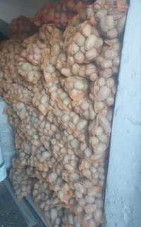 ziemniaki  vineta z numerem producenta