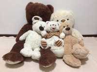 Семейство медведей